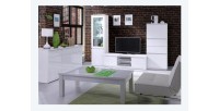 Vitrine petit modèle, bibliothèque FABIO blanc brillant high gloss + LED. Meuble design pour votre salon.