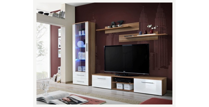 Meuble TV GALINO design, coloris prunier et blanc brillant. Meuble moderne et tendance pour votre salon.