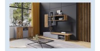 Composition de meubles design pour salon coloris gris et chêne collection ASTY.