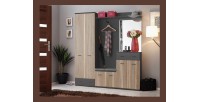 Meuble d'entrée avec Armoire, meuble à chaussure, commode, miroir et penderie collection POLO Coloris gris et chêne.