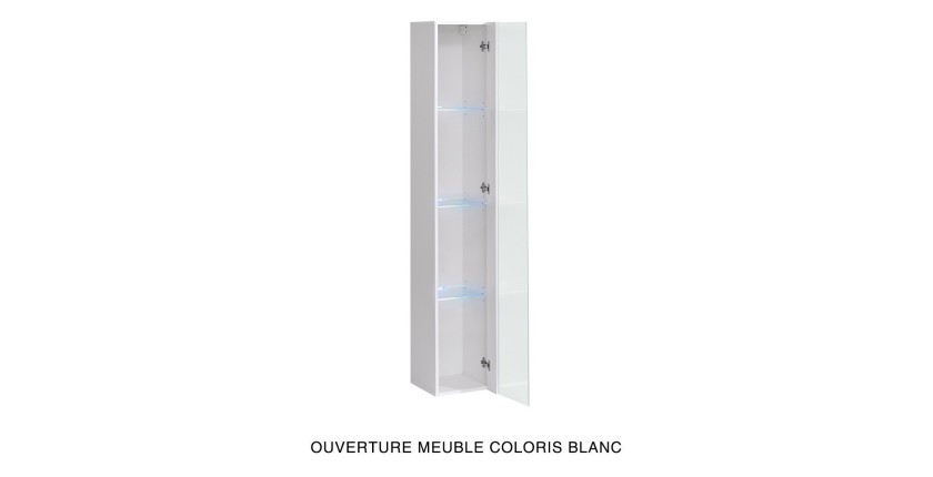 Vitrine suspendue grise avec 1 porte vitrée et éclairage LED inclus. Collection SWITCH.