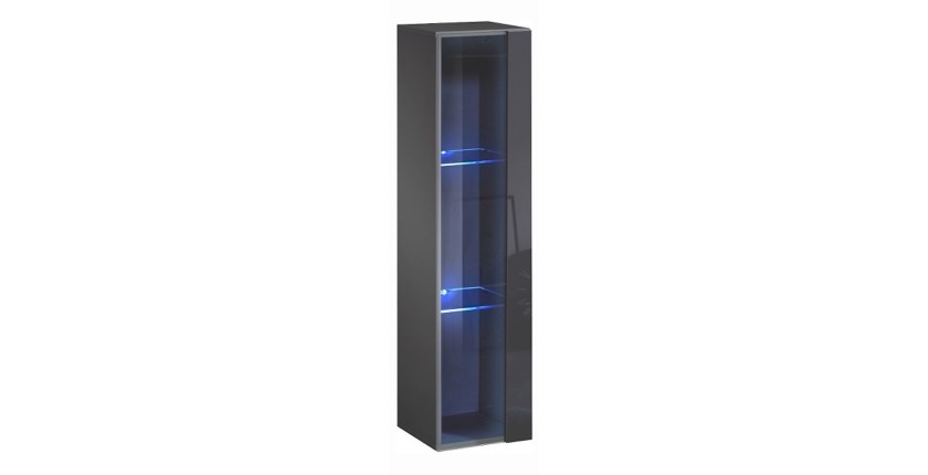 Vitrine suspendue grise petit modèle avec 1 porte vitrée et éclairage LED inclus. Collection SWITCH.