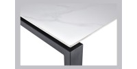 Table à manger ATHENA longueur 180cm avec plateau de 12mm en pierre effet marbre blanc