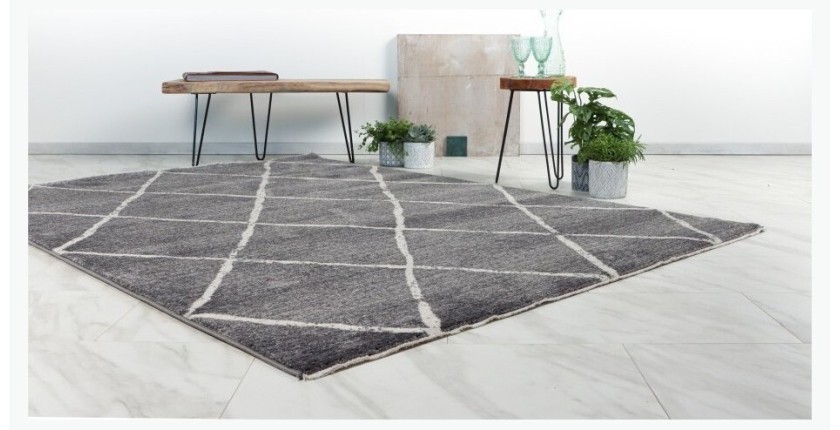 Tapis 230x160cm, gris - Confort et élegance pour votre intérieur