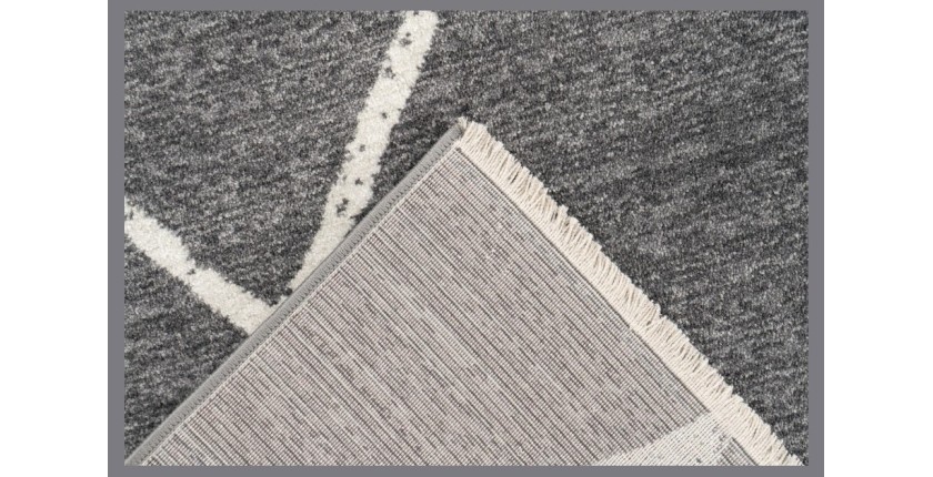 Tapis 230x160cm, gris - Confort et élegance pour votre intérieur