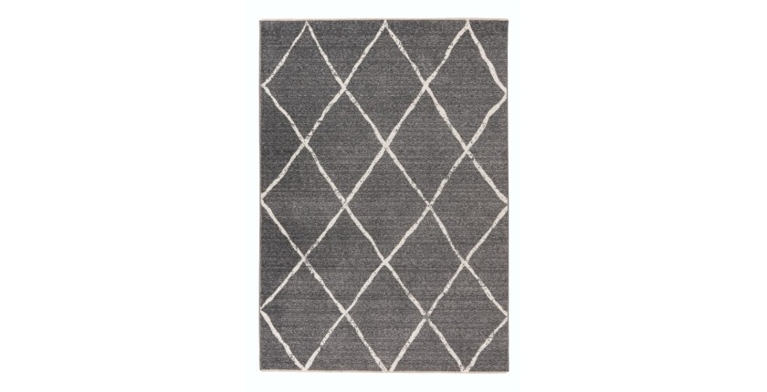 Tapis 230x160cm, gris - Confort et élegance pour votre intérieur