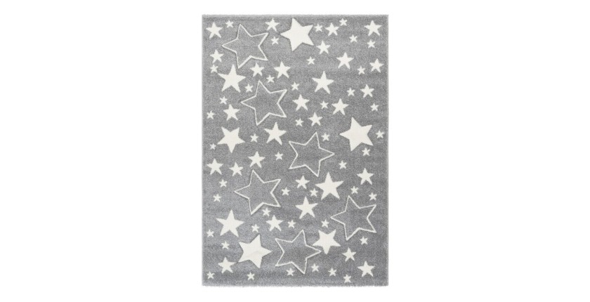 Tapis 230x160cm, design A923O coloris gris - Confort et élégance pour votre intérieur