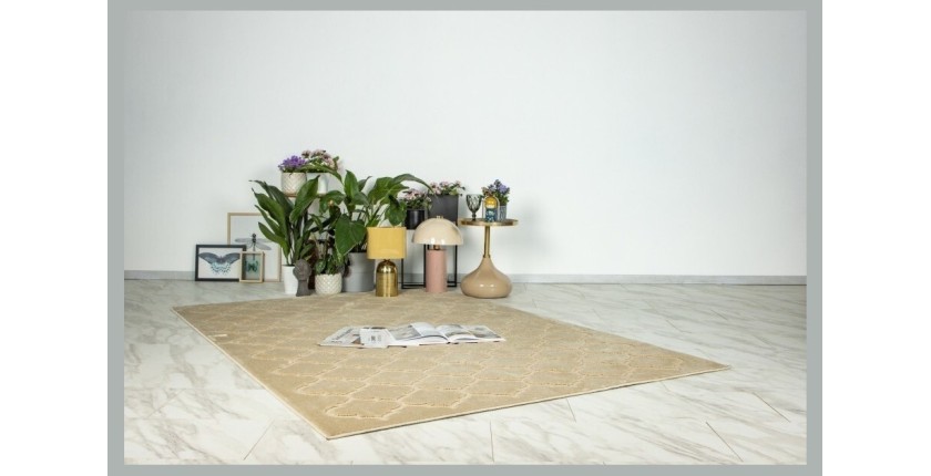 Tapis 300x80cm, design A102A coloris beige - Confort et élégance pour votre intérieur