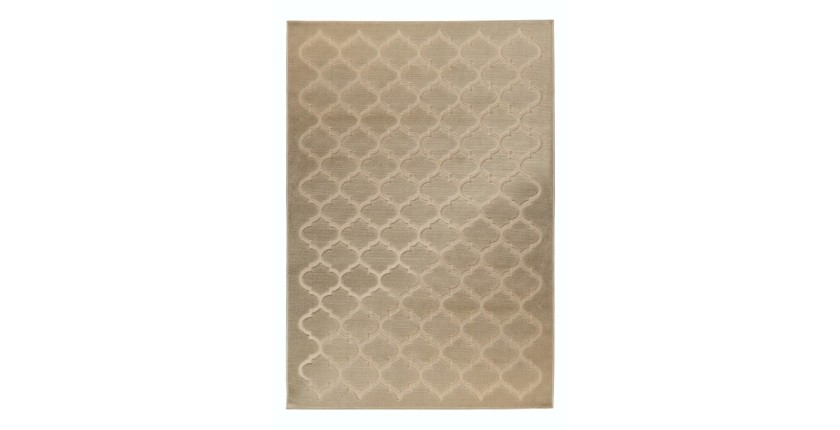 Tapis 170x120cm, design A102A coloris beige - Confort et élégance pour votre intérieur