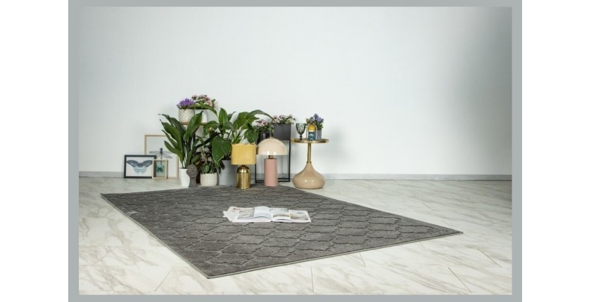 Tapis 150x80cm, design A102A coloris gris - Confort et élégance pour votre intérieur