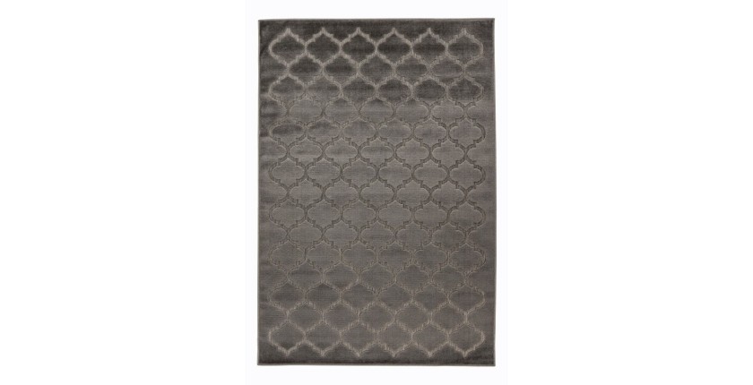 Tapis 170x120cm, design A102A coloris gris - Confort et élégance pour votre intérieur