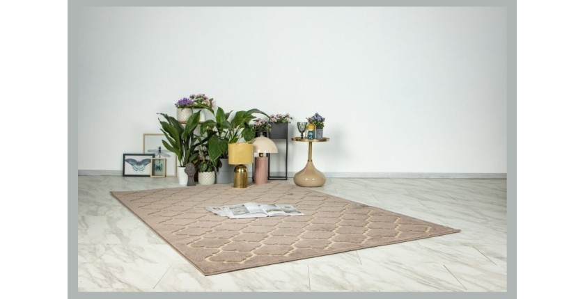 Tapis 150x80cm, design A102A coloris taupe - Confort et élégance pour votre intérieur