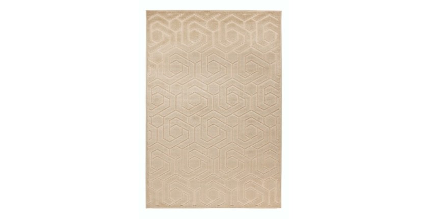 Tapis 170x120cm, design A202A coloris beige - Confort et élégance pour votre intérieur