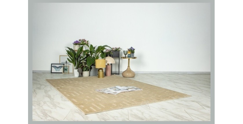 Tapis 290x200cm, design A202A coloris beige - Confort et élégance pour votre intérieur