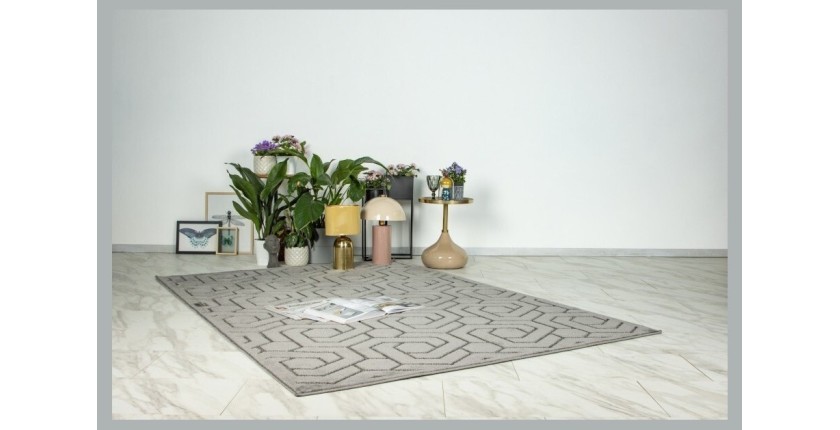 Tapis 150x80, design A202A coloris gris - Confort et élégance pour votre intérieur