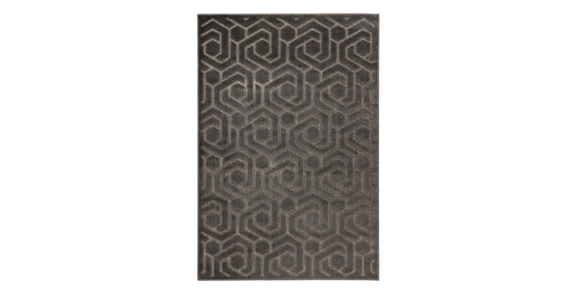 Tapis 170x120cm, design A202A coloris gris - Confort et élégance pour votre intérieur