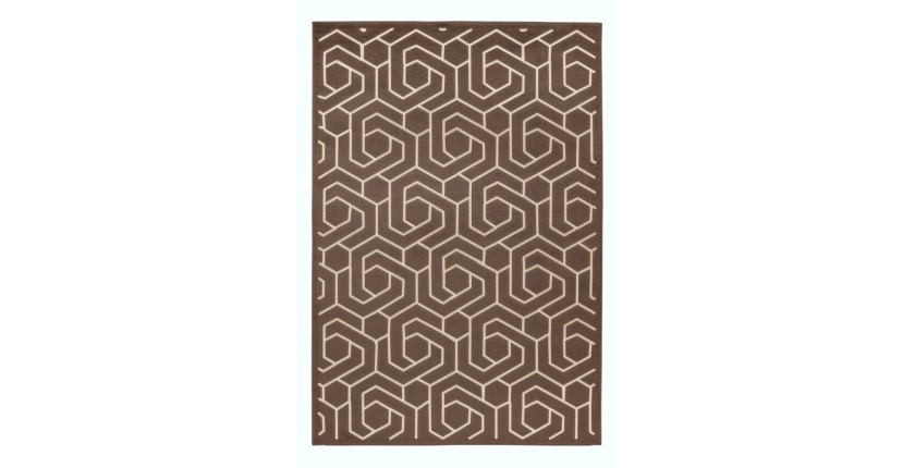 Tapis 170x120cm, design A202A coloris taupe - Confort et élégance pour votre intérieur