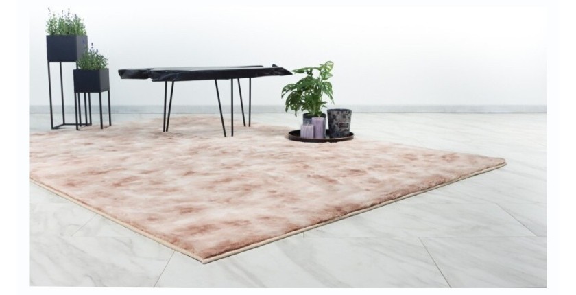 Tapis 150x80cm, design B005O coloris beige - Confort et élégance pour votre intérieur