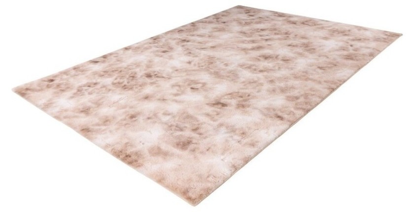 Tapis 170x120cm, design B005O coloris beige - Confort et élégance pour votre intérieur