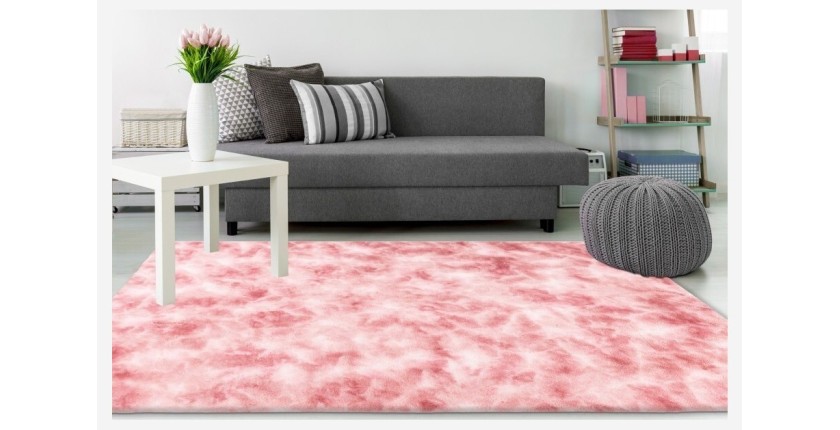 Tapis 170x120cm, design B005O coloris rose - Confort et élégance pour votre intérieur