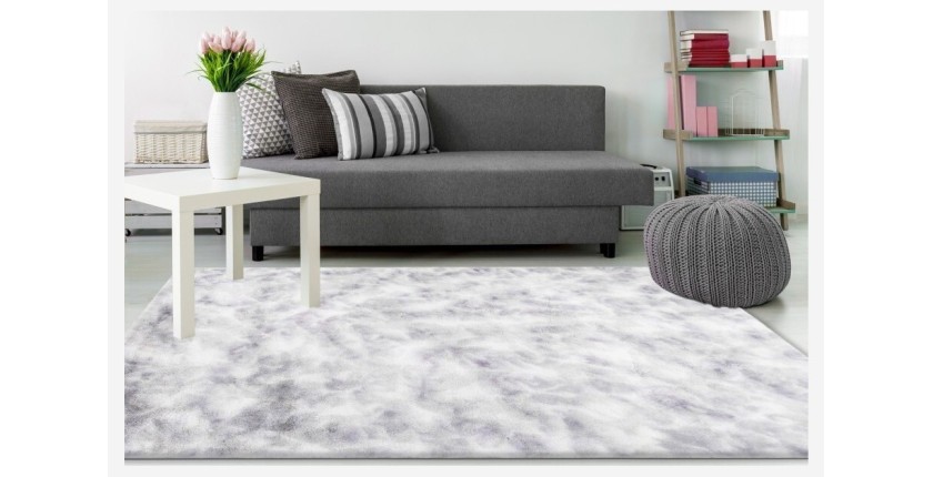 Tapis 150x80cm, design B005O coloris gris - Confort et élégance pour votre intérieur