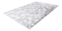 Tapis 170x120cm, design B005O coloris gris - Confort et élégance pour votre intérieur