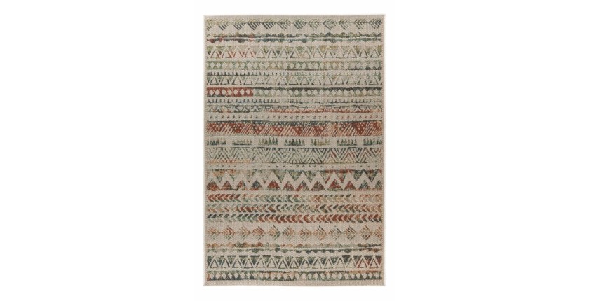 Tapis 230x160cm, design C503I coloris multicolore - Confort et élégance pour votre intérieur