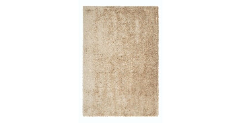 Tapis 170x120cm, design C005D coloris sable - Confort et élégance pour votre intérieur