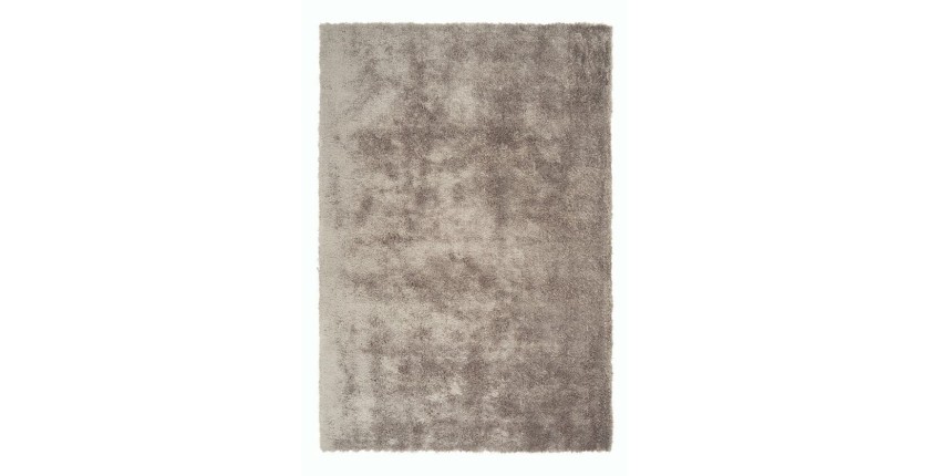 Tapis 170x120cm, design C005D coloris taupe - Confort et élégance pour votre intérieur