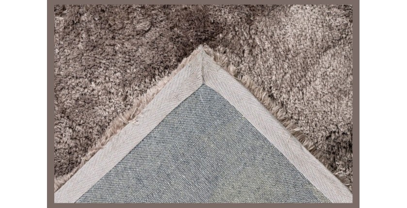 Tapis 230x160cm, design C005D coloris taupe - Confort et élégance pour votre intérieur