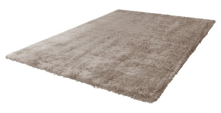 Tapis 290x200cm, design C005D coloris taupe - Confort et élégance pour votre intérieur