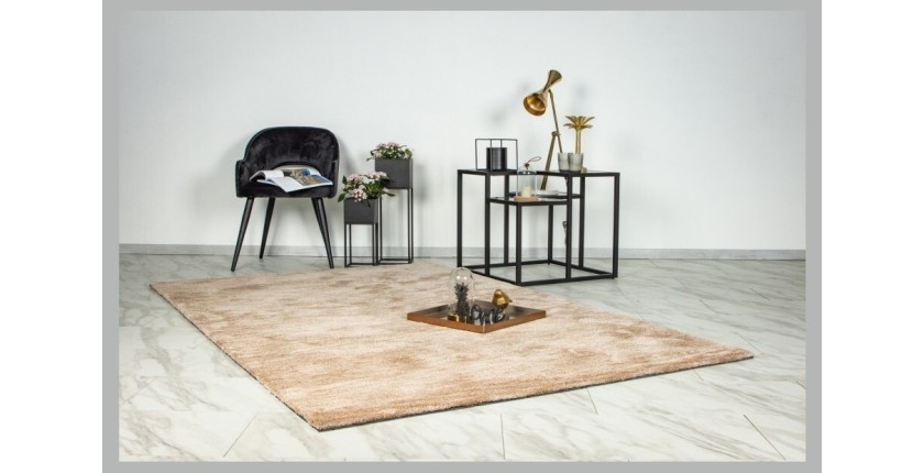 Tapis 230x160cm, design C007Y coloris beige - Confort et élégance pour votre intérieur