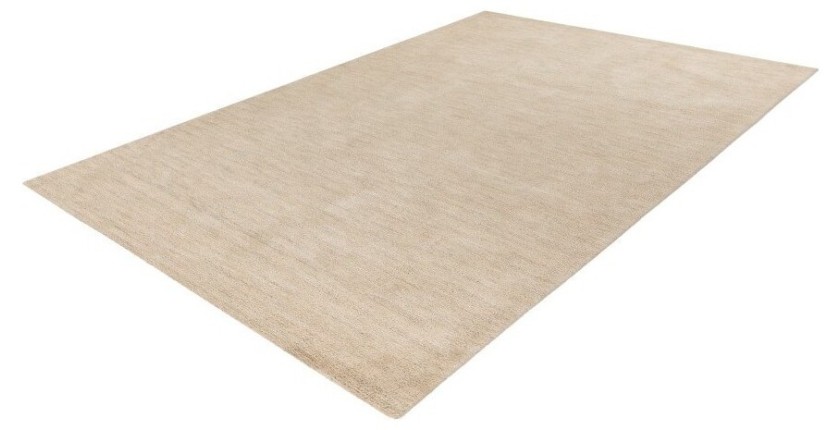 Tapis 170x120cm, design C007Y coloris ivoire - Confort et élégance pour votre intérieur