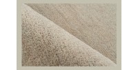 Tapis 290x200cm, design C007Y coloris ivoire - Confort et élégance pour votre intérieur