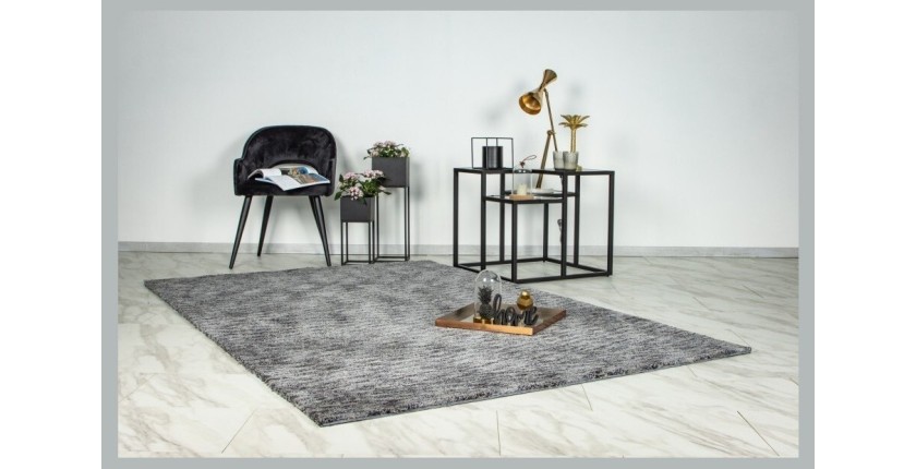 Tapis 290x200cm, design C007Y coloris argent - Confort et élégance pour votre intérieur