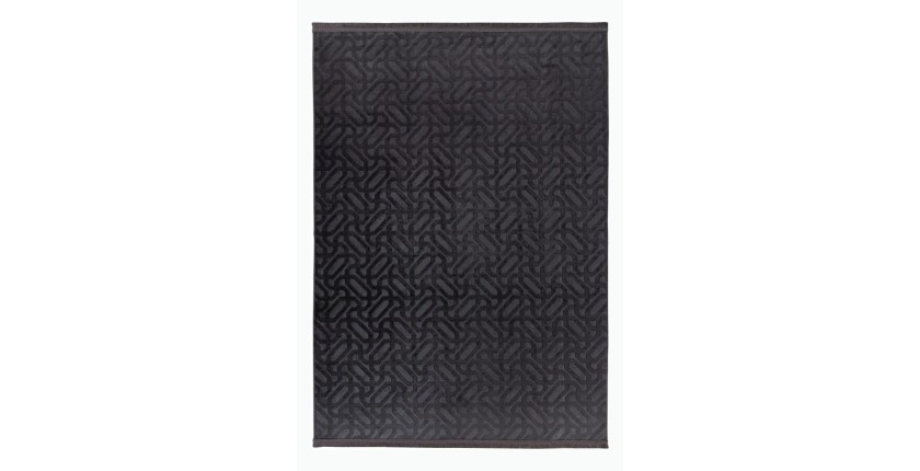 Tapis 220x160cm, design D012A coloris graphite - Confort et élégance pour votre intérieur