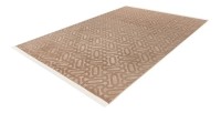 Tapis 280x200cm, design D012A coloris taupe - Confort et élégance pour votre intérieur