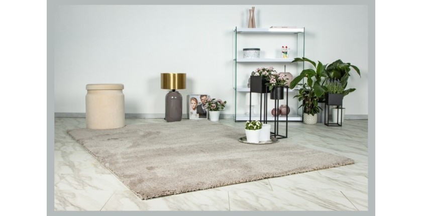 Tapis 150x80cm, design D005M coloris beige - Confort et élégance pour votre intérieur