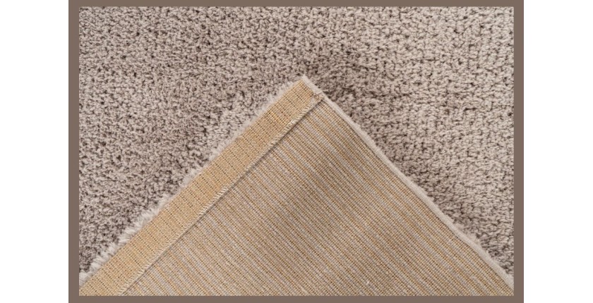 Tapis 230x160cm, design D005M coloris beige - Confort et élégance pour votre intérieur