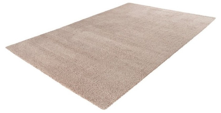 Tapis 290x200cm, design D005M coloris beige - Confort et élégance pour votre intérieur