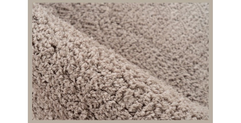 Tapis 290x200cm, design D005M coloris beige - Confort et élégance pour votre intérieur