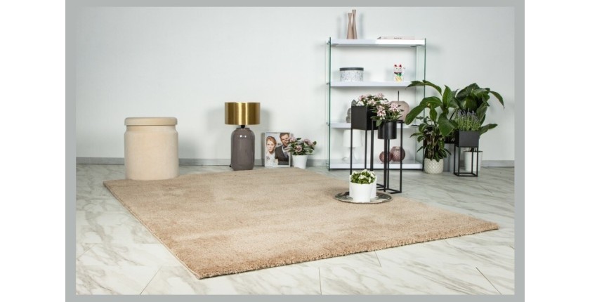 Tapis 170x120cm, design D005M coloris champagne - Confort et élégance pour votre intérieur