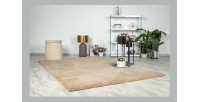 Tapis 290x200cm, design D005M coloris champagne - Confort et élégance pour votre intérieur