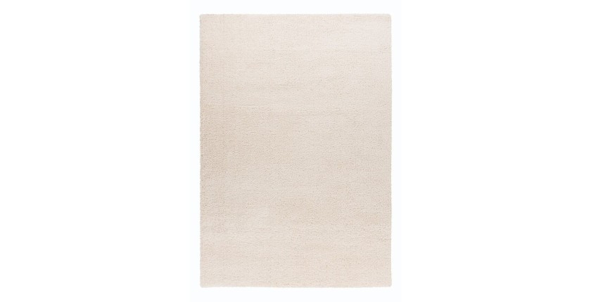 Tapis 170x120cm, design D005M coloris ivoire - Confort et élégance pour votre intérieur