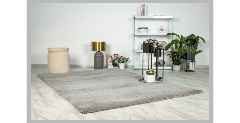 Tapis 150x80cm, design D005M coloris argent - Confort et élégance pour votre intérieur