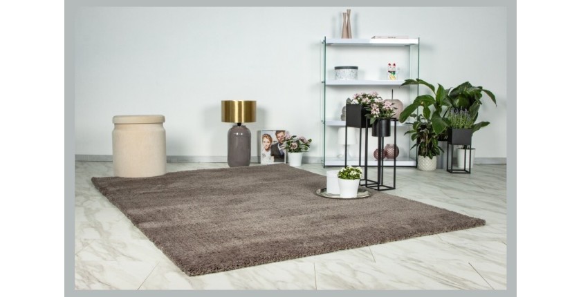 Tapis 150x80cm, design D005M coloris taupe - Confort et élégance pour votre intérieur