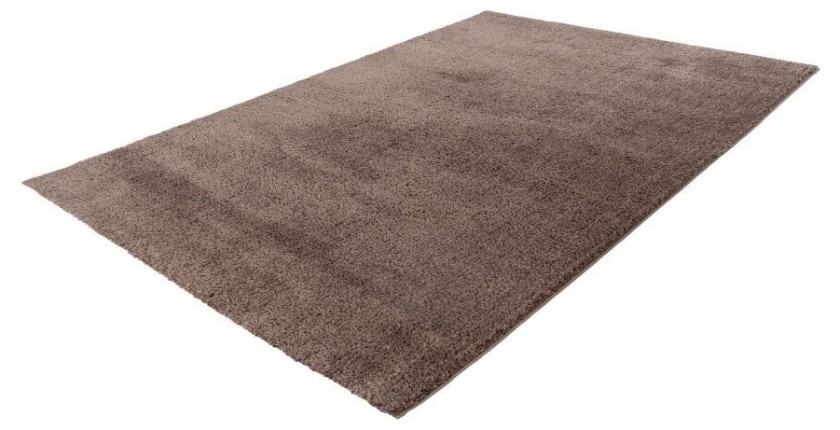 Tapis 170x120cm, design D005M coloris taupe - Confort et élégance pour votre intérieur