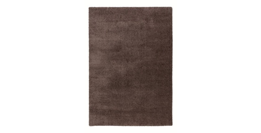 Tapis 170x120cm, design D005M coloris taupe - Confort et élégance pour votre intérieur