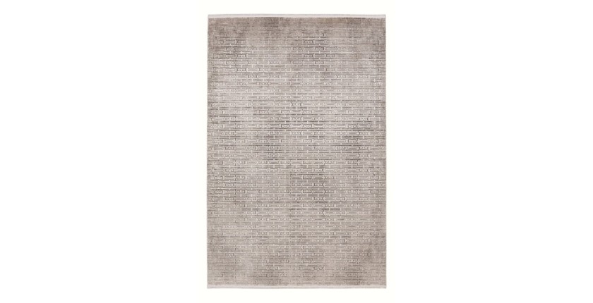 Tapis 230x160cm, design E209E coloris argent - Confort et élégance pour votre intérieur