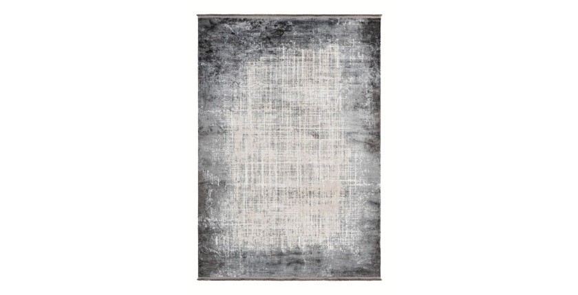 Tapis 170x120cm, design E109E coloris argent - Confort et élégance pour votre intérieur